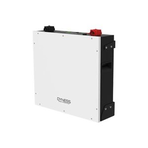 Dyness DL5.0C